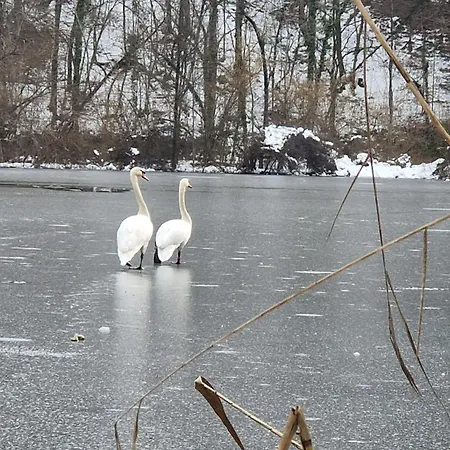 Iskaretreat شاليه