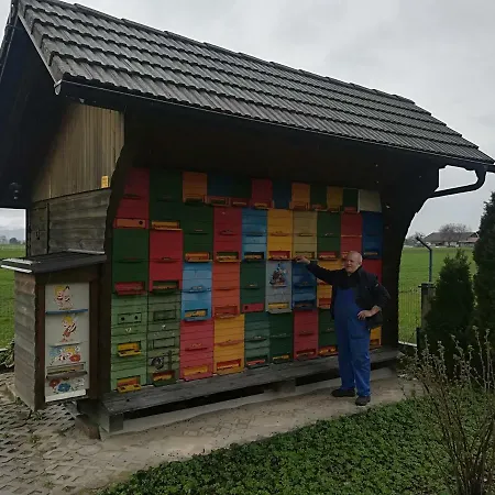 Iskaretreat Alpesi faház Ig