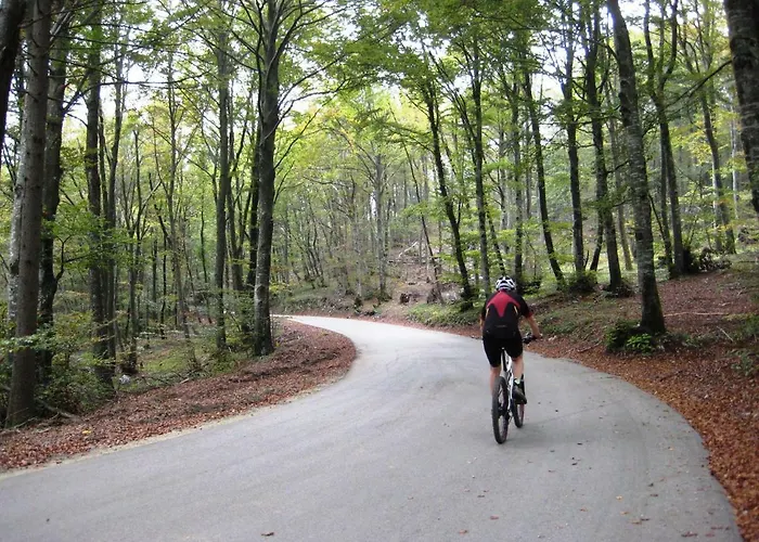 Iskaretreat Alpehytte *