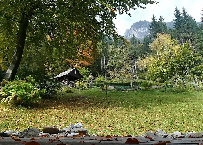 Iskaretreat Alpehytte *