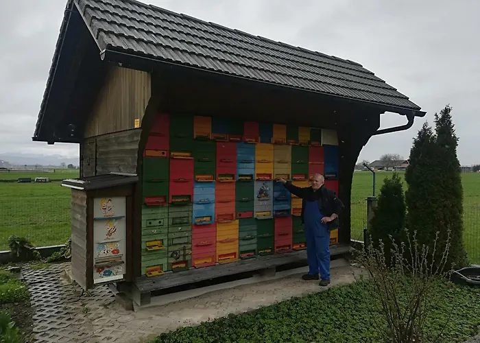 Iskaretreat Dağ evi Ig